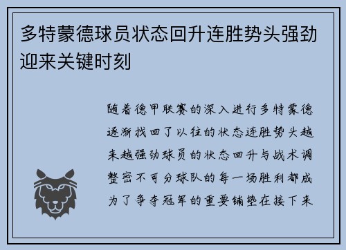 多特蒙德球员状态回升连胜势头强劲迎来关键时刻