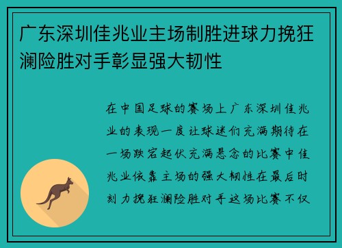 广东深圳佳兆业主场制胜进球力挽狂澜险胜对手彰显强大韧性