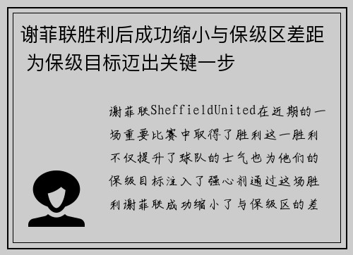 谢菲联胜利后成功缩小与保级区差距 为保级目标迈出关键一步
