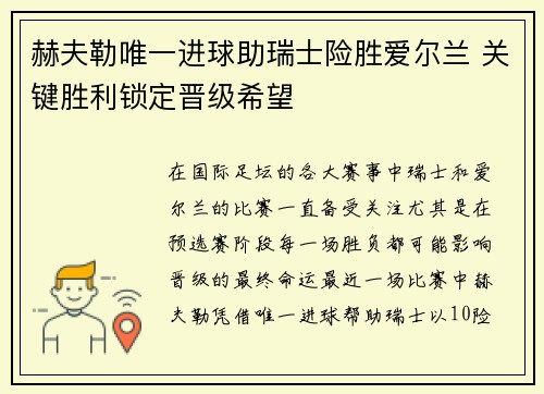 赫夫勒唯一进球助瑞士险胜爱尔兰 关键胜利锁定晋级希望