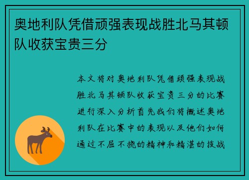 奥地利队凭借顽强表现战胜北马其顿队收获宝贵三分